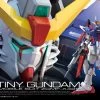 BANDAI 1/144 Real Grade RG ZGMF-X42S Destiny Gundam
