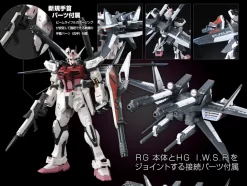 Bandai RG 1/144 Strike Rouge + HG 1/144 I.W.S.P. Plastic Model -Figure Model Shop 20170117 rouge 03 76317.1484638885